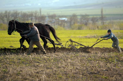 ROMANIA-AGRICULTURE-FEATURE