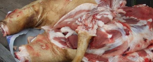 carne_de_porc