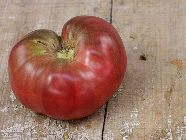 Black-Krim-Tomato