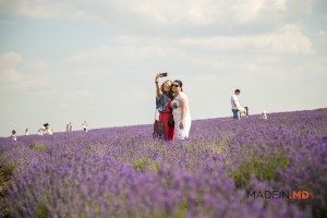 _lavender_fest___100_