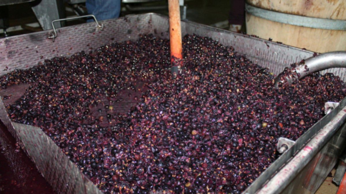 salvatorii-atentioneaza-asupra-pericolului-de-intoxicare-in-urma-fermentarii-vinului--metoda-simpla-prin-care-poti-afla-nivelul-de-oxigen-49786
