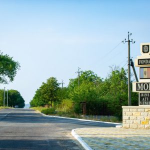 molovata noua