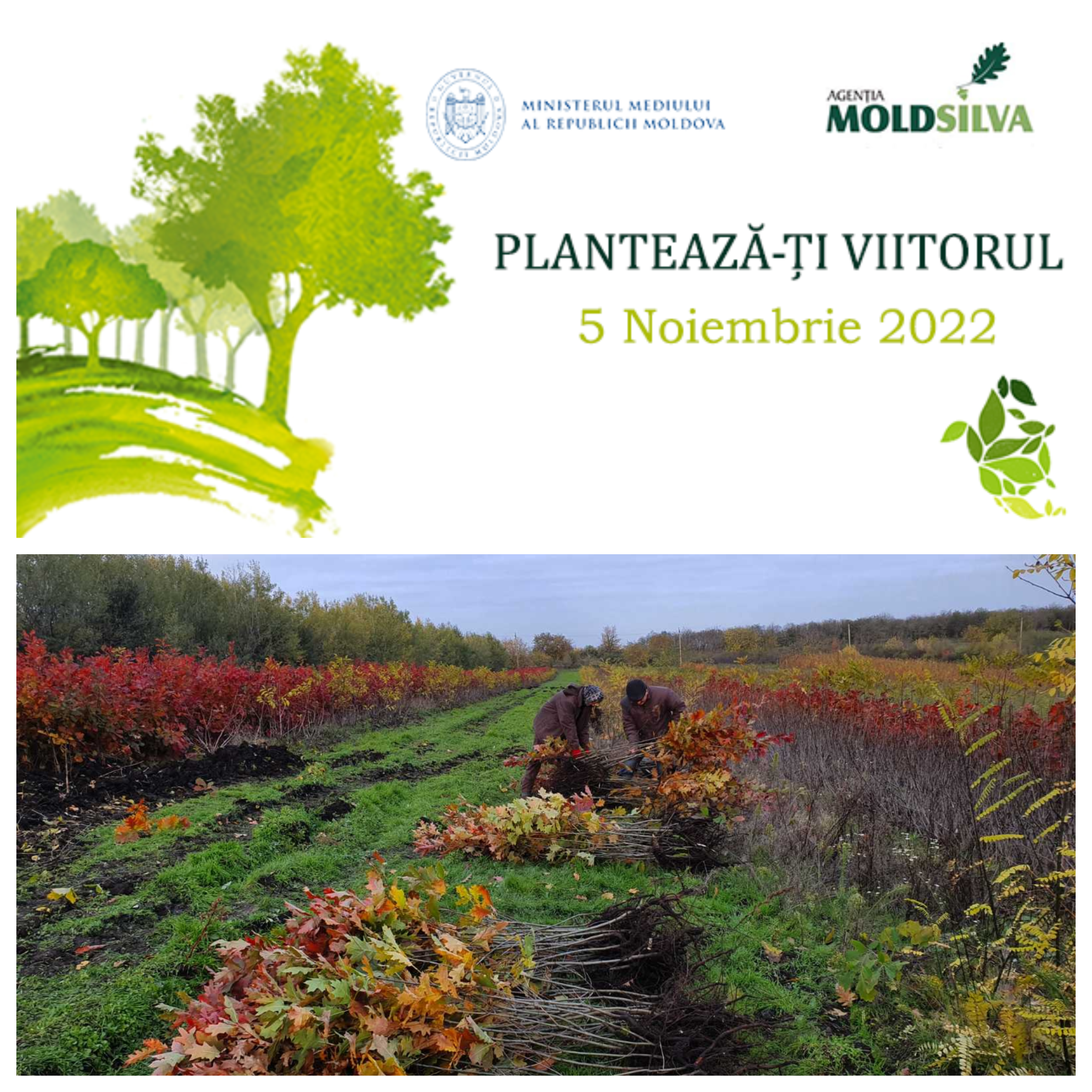 planteaza-ti viitorul