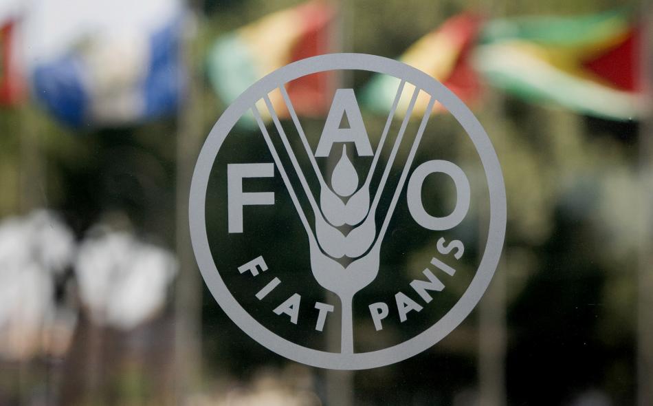 FAO_Kyrgyzstan