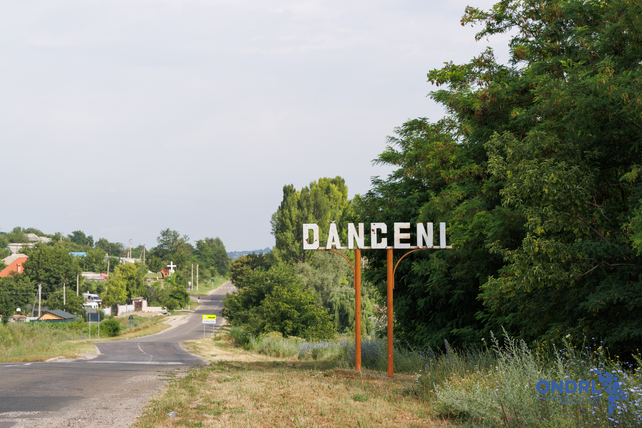 danceni