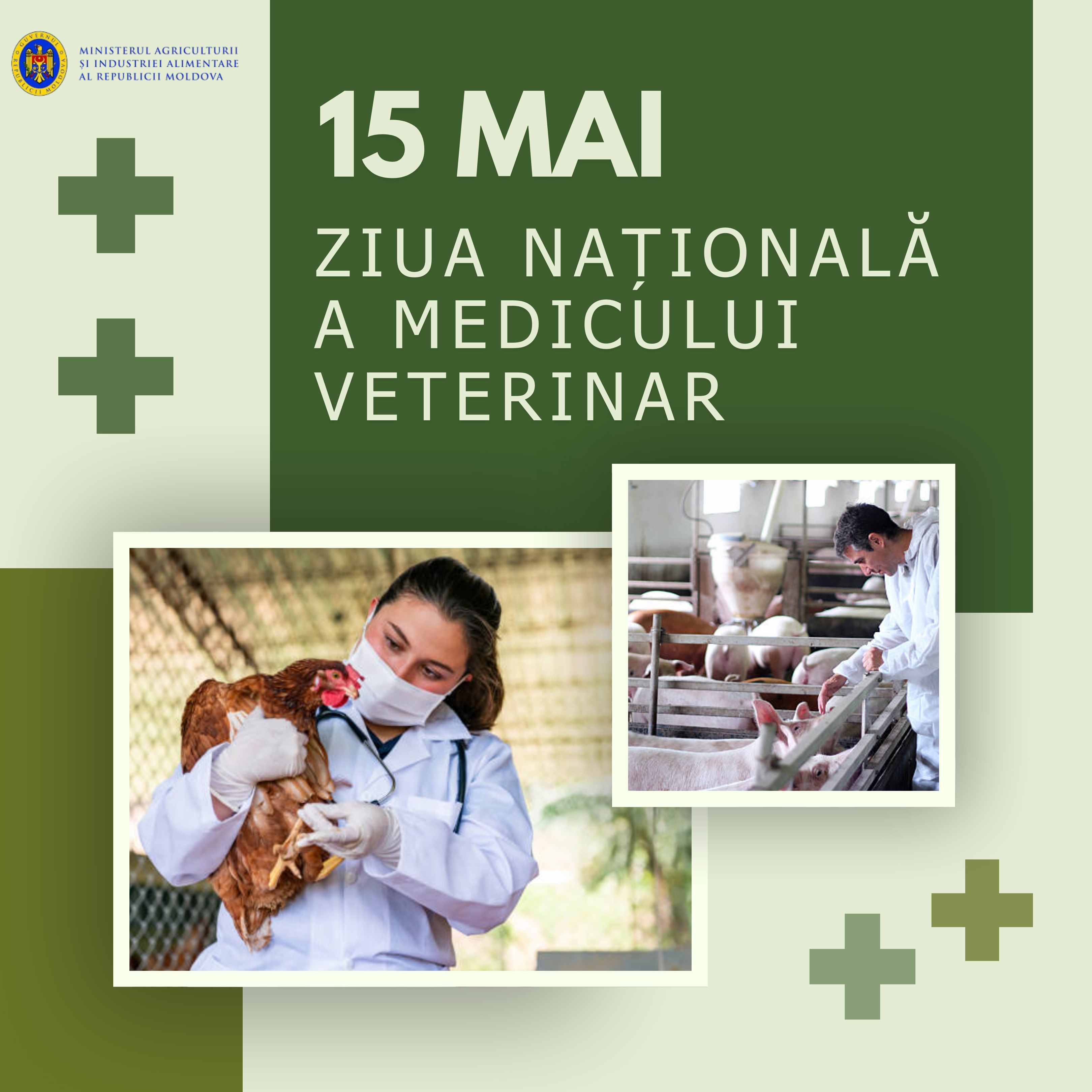 ZIUA MEDICULUI VETERINAR