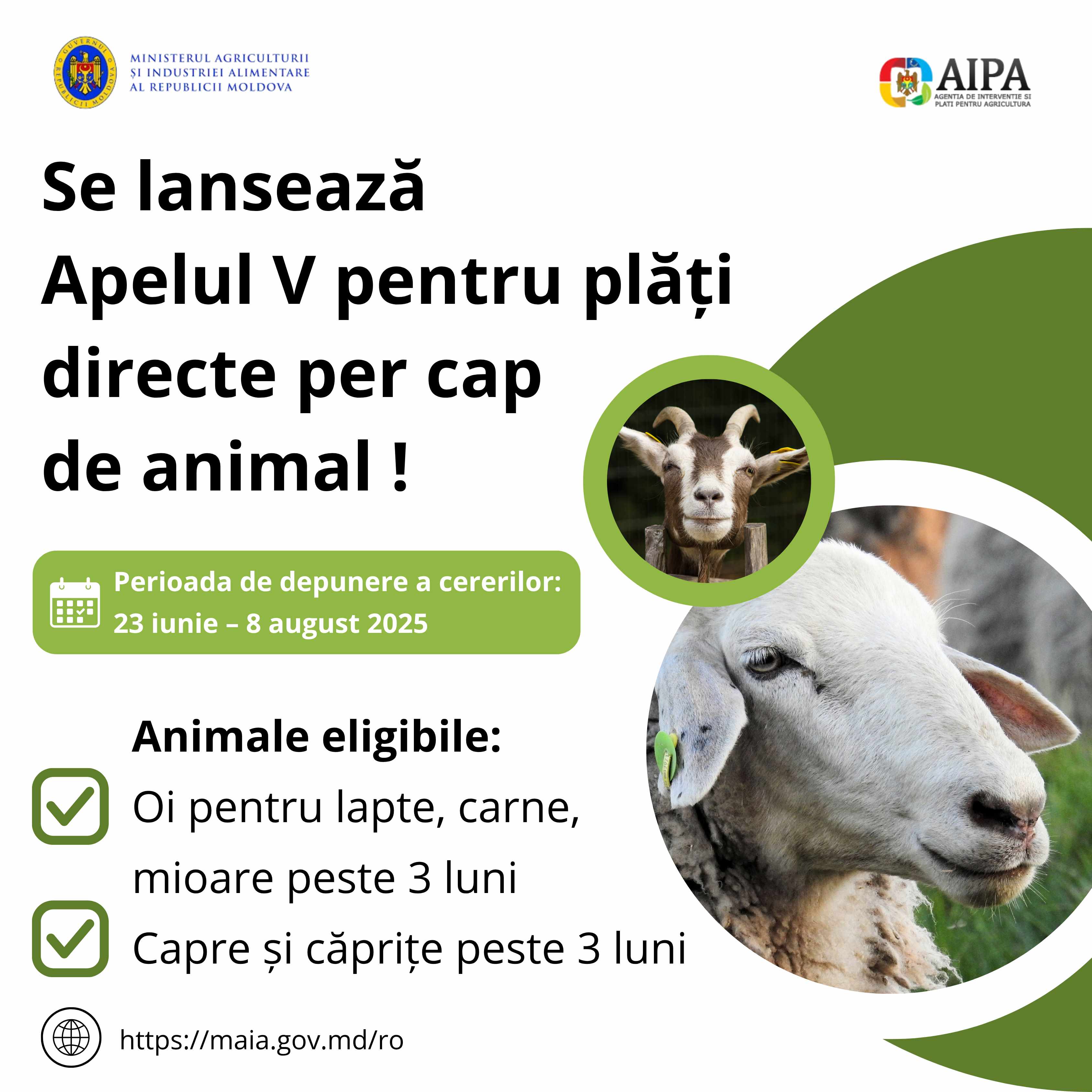 Apelul V_plăți AIPA