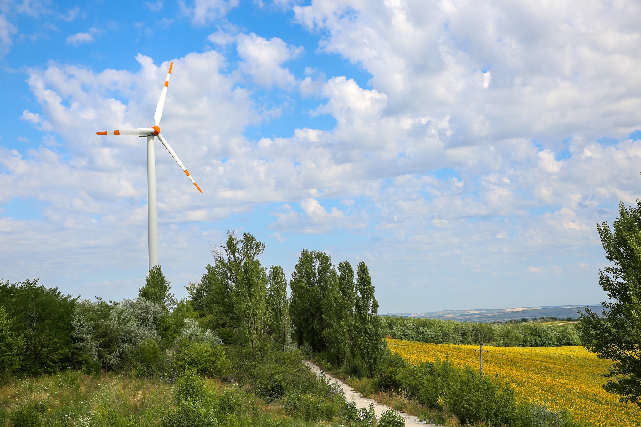 eoliana
