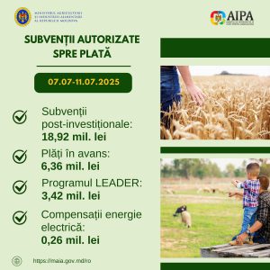 subvenții AIPA (9)