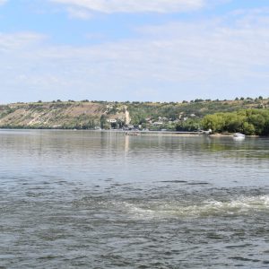IMG_8258