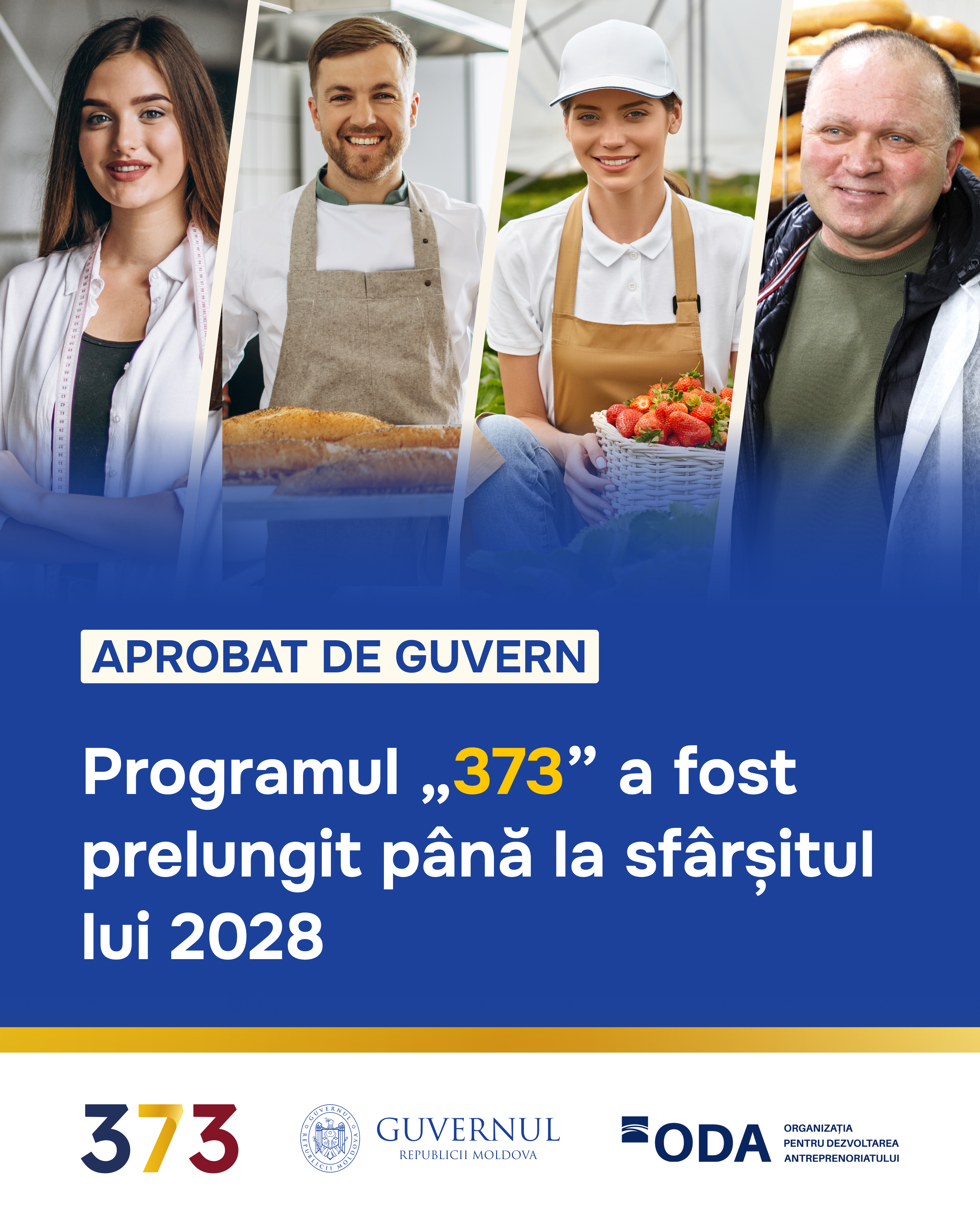 aprobat de guvern 373