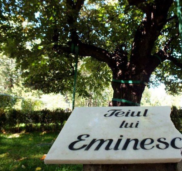 547534947_818731914008375_2604586443765781280_n