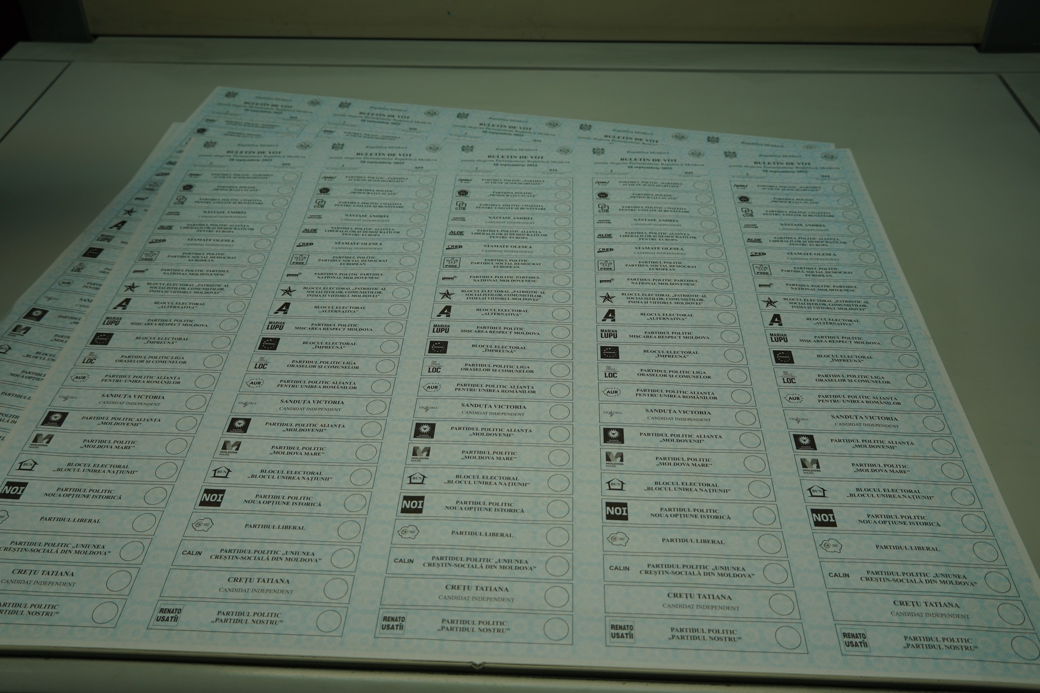 547955763_1204119418406752_3094800249748754561_n