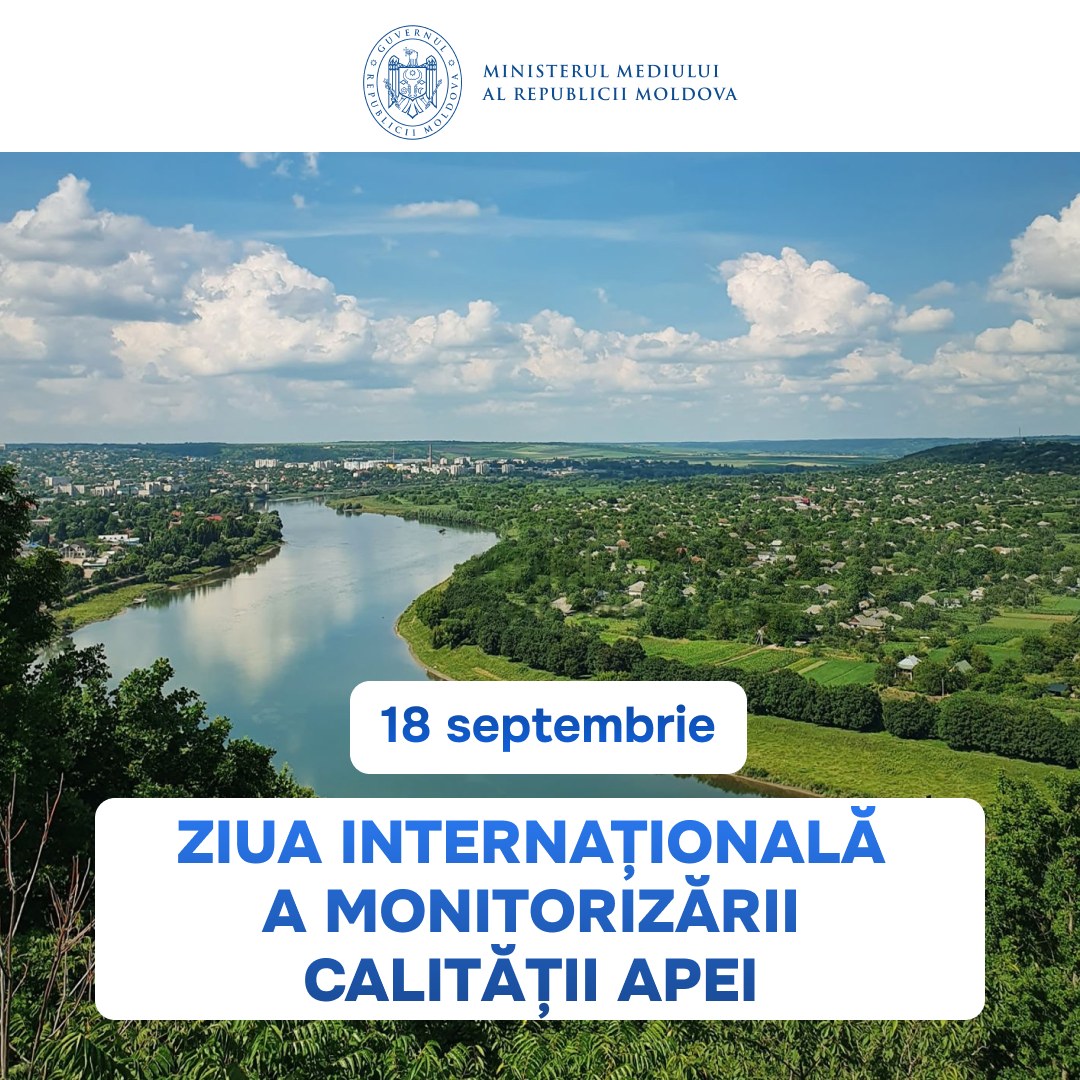 549573964_1169835528537258_5788472164794638220_n