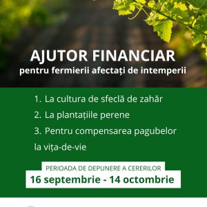 Green Modern Agriculture Instagram Post, копия, копия (2)