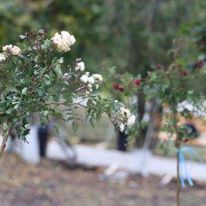 564250687_1133712778911606_5728229312945748384_n