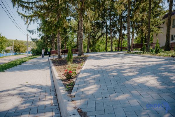 564781864_781096471347110_1306734745378855475_n