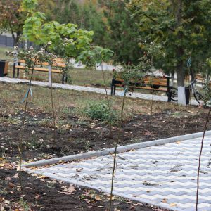 565081056_1133712358911648_7989096175890702752_n