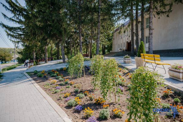 565166803_781096514680439_2399556837701712923_n