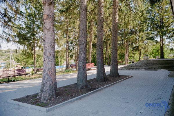 565198836_781096371347120_4824121126804177388_n