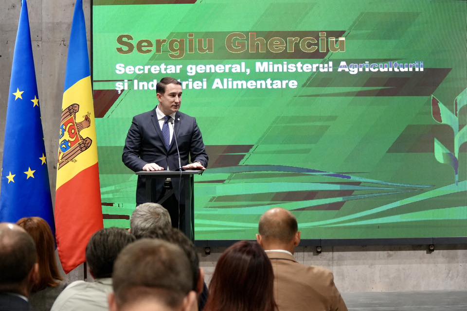 571216759_1265591485597582_5358515697899085851_n