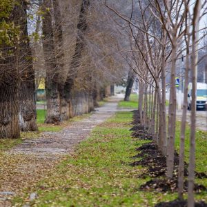 571632332_860505666652237_4313432982847603997_n