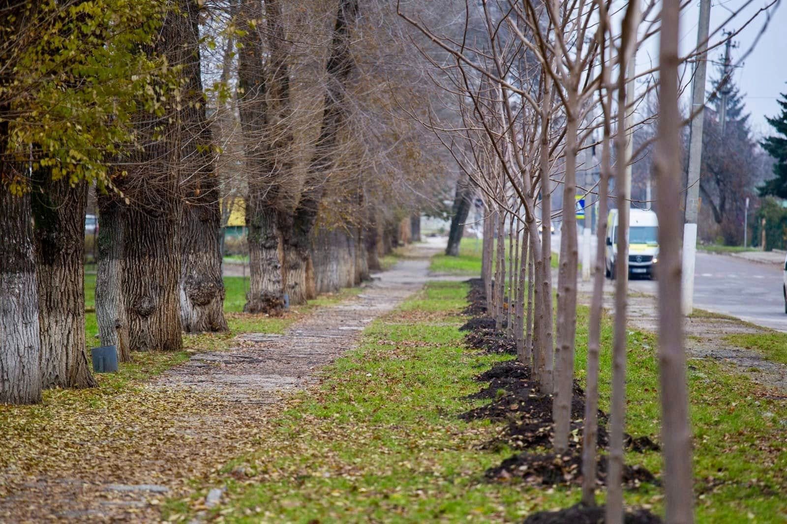 571632332_860505666652237_4313432982847603997_n