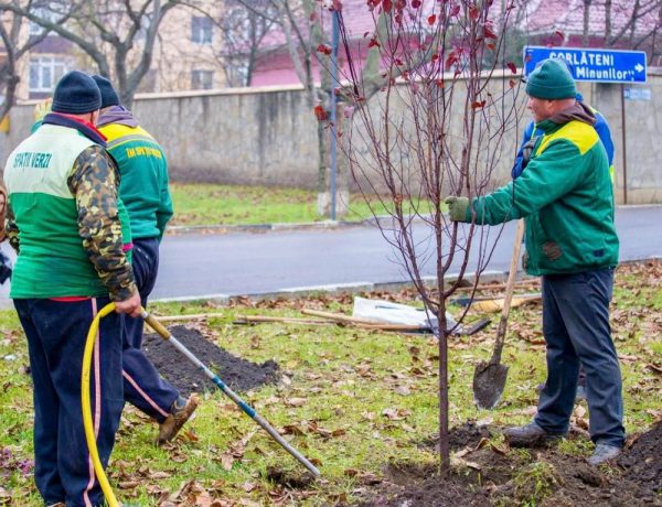 574105875_860505616652242_9201611568293343604_n