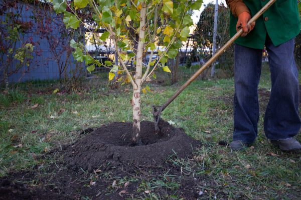 574285414_860505629985574_9001676814585748427_n