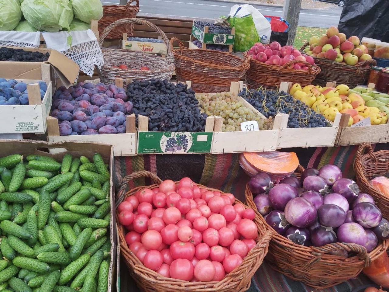 574295384_1248827670615610_4125246682376793720_n