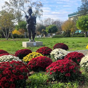 574530358_1233653482126475_4396191349711439962_n