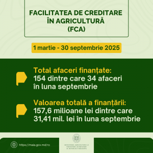 FCA (4)