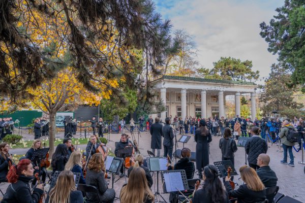 photo_5197673691549404311_y