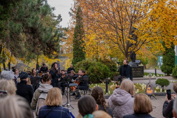 photo_5197673691549404340_y