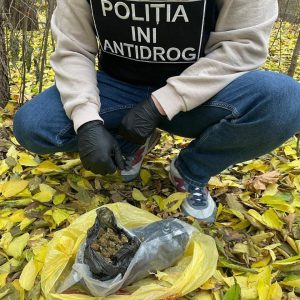 07439e4b-c540-400b-8bc2-791f6d3158d4