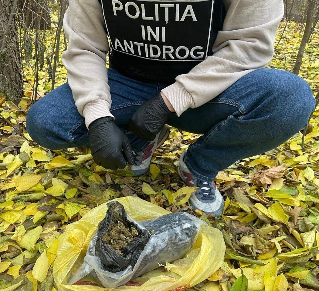 07439e4b-c540-400b-8bc2-791f6d3158d4