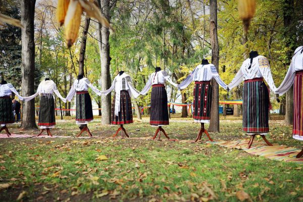 558984115_1145258204456463_5079644756752064296_n