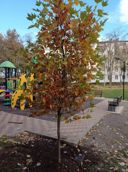 572881677_863183626384441_7956389124191537055_n