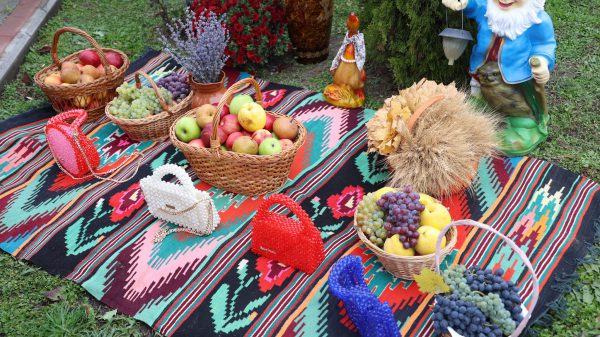 573284944_2271215540055186_3315892017451387663_n