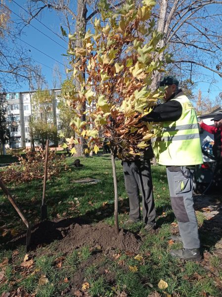 574331398_863183606384443_206191208120648909_n