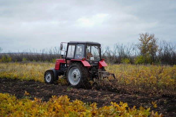 574501383_1210079404512870_2034896806396053299_n