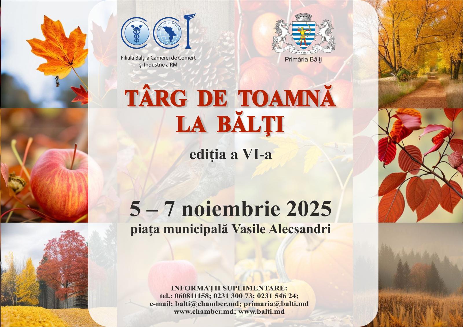 575090042_863177359718401_3978169036837836856_n