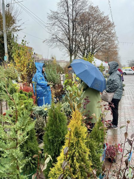 575094855_864866726216131_997438036374932504_n