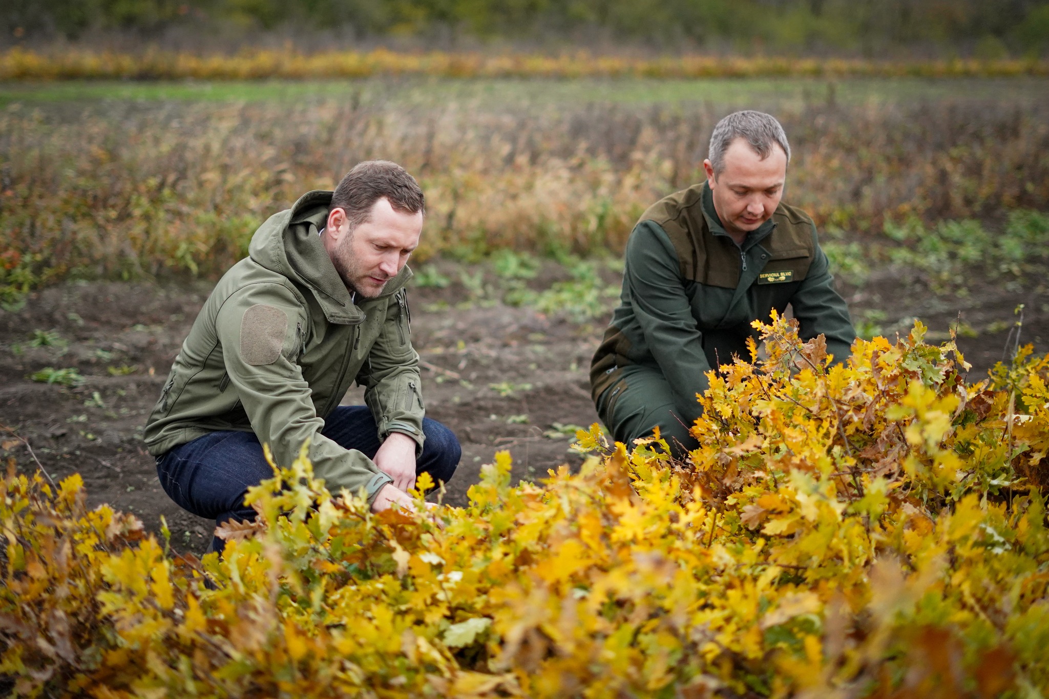 575102144_1210078794512931_5522690666222086224_n