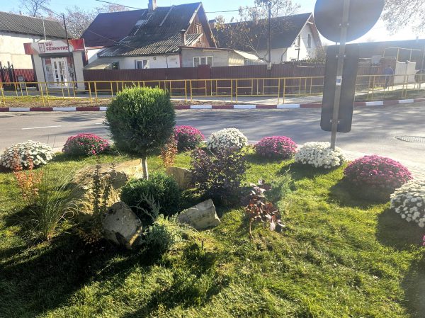 575164480_1236434295181727_9158570751458336461_n