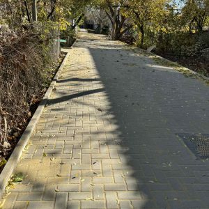 575174739_1151285717154312_2445608073544143527_n