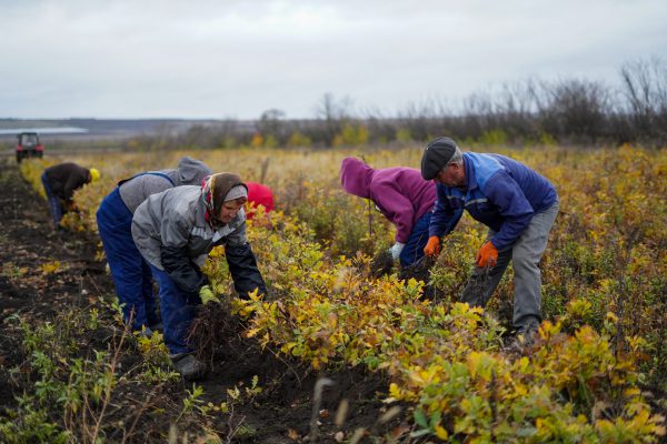 575186599_1210079607846183_9096882889767117019_n