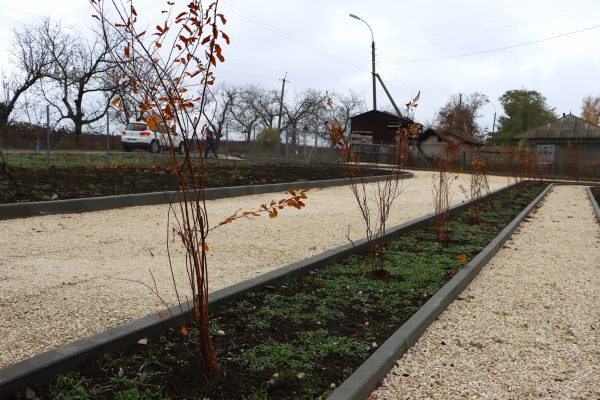 576481142_1280127260819972_3472753450717030502_n