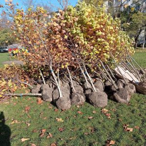 576803297_863183579717779_4652109842894211990_n