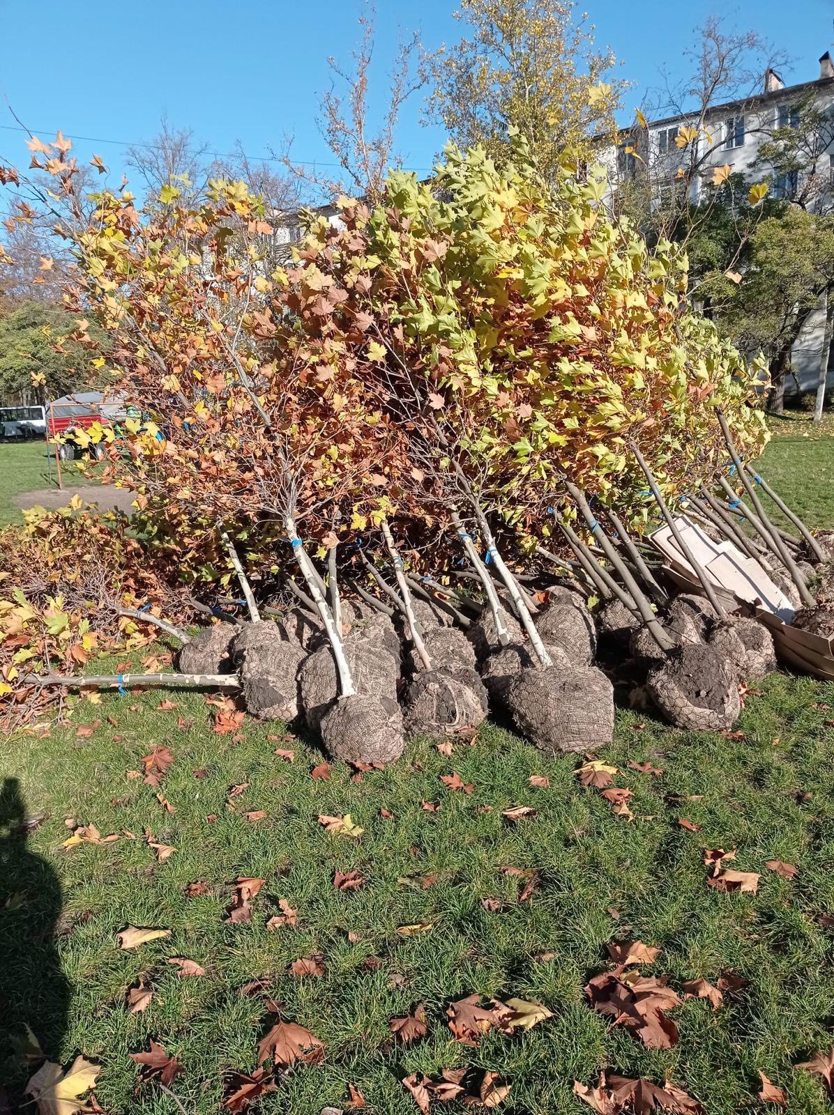 576803297_863183579717779_4652109842894211990_n